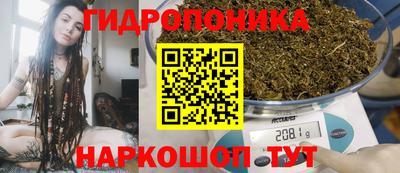 PSILOCYBIN Краснознаменск