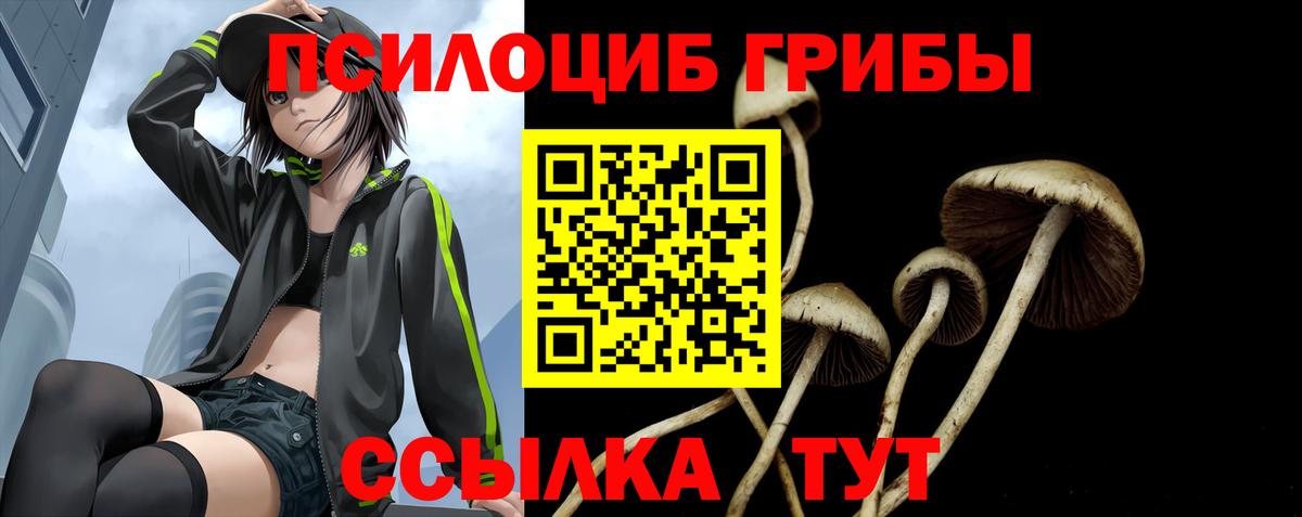 магазин продажи наркотиков  Вход с VPN  Кирово-Чепецк  Псилоцибиновые грибы MAGIC MUSHROOMS 
